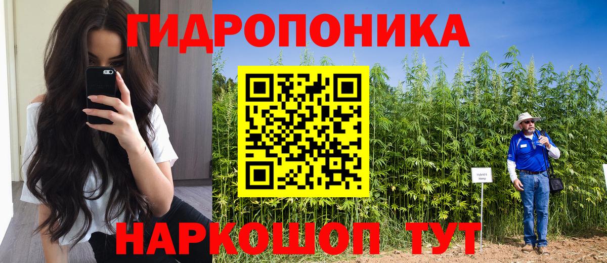 МАРИХУАНА Ganja  Бошки марихуана MAZAR  Бошки Шишки тримм  Владикавказ  Вход с VPN 